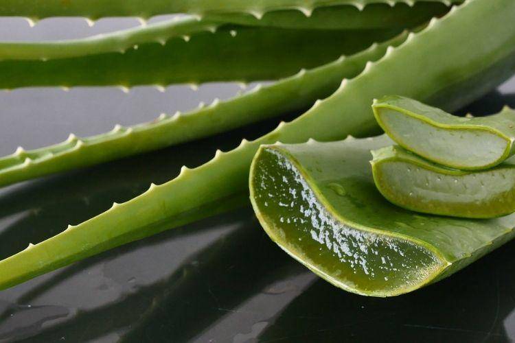 pond5.com