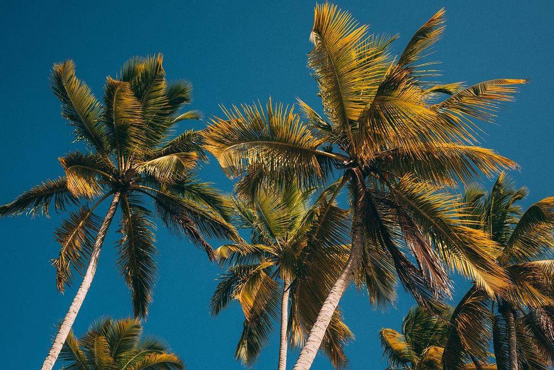 Pexels.com/ Laura Stanley