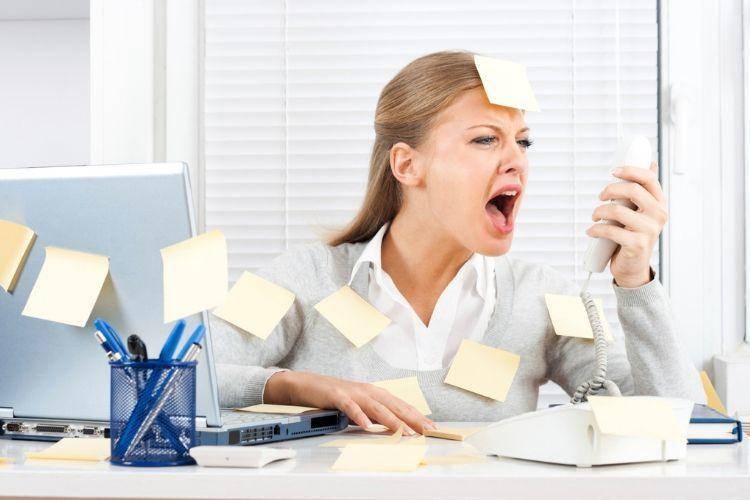 wordpress.com