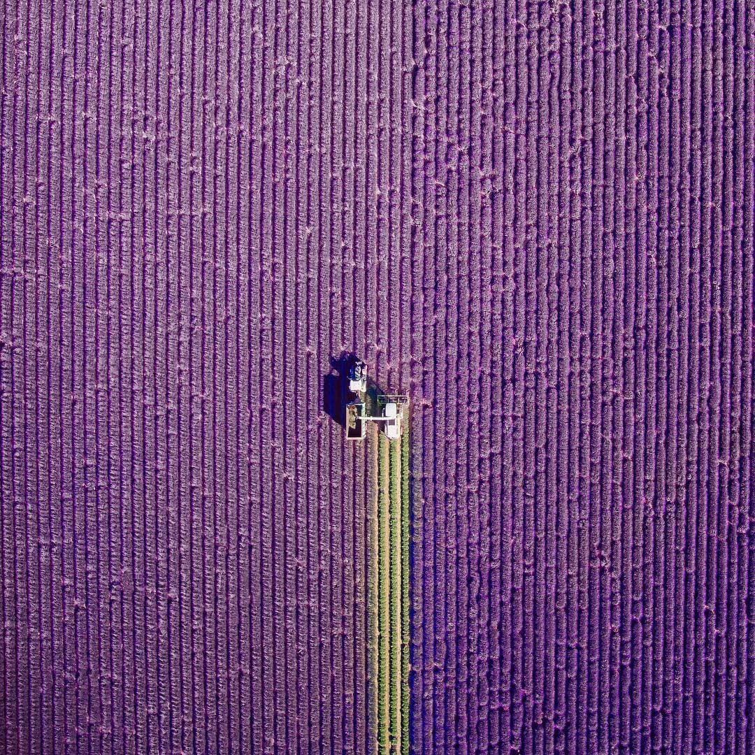 Instagram.com/jcourtial