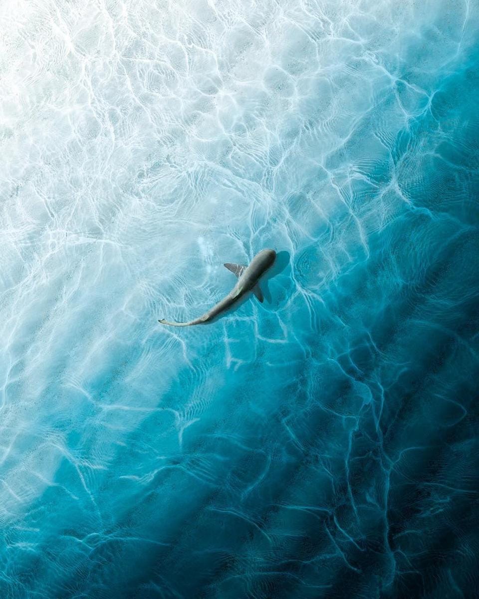 Instagram.com/naati_aerials