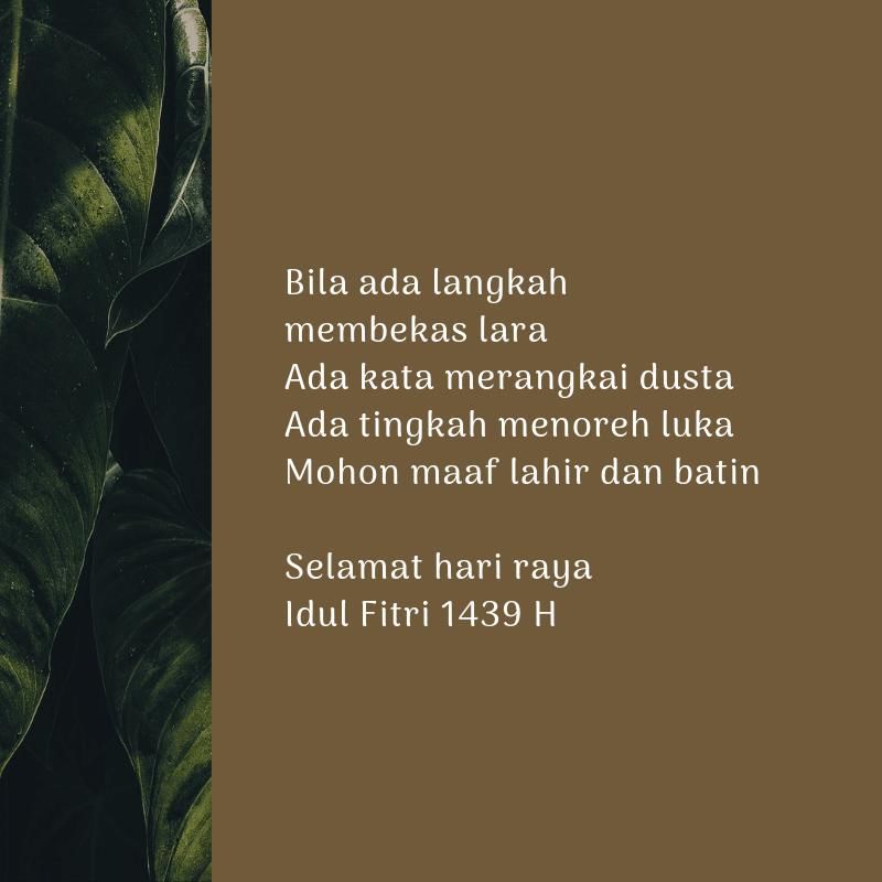 Popbela.com/Canva.com/Pexels.com