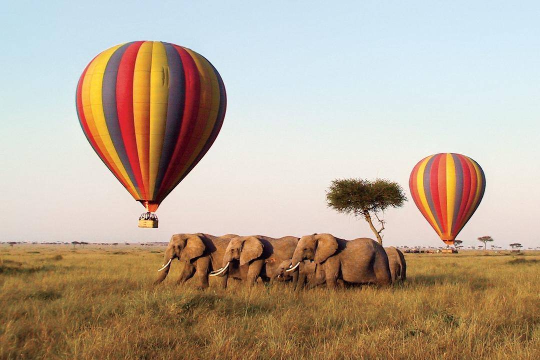 perfectwildernesstours.com/