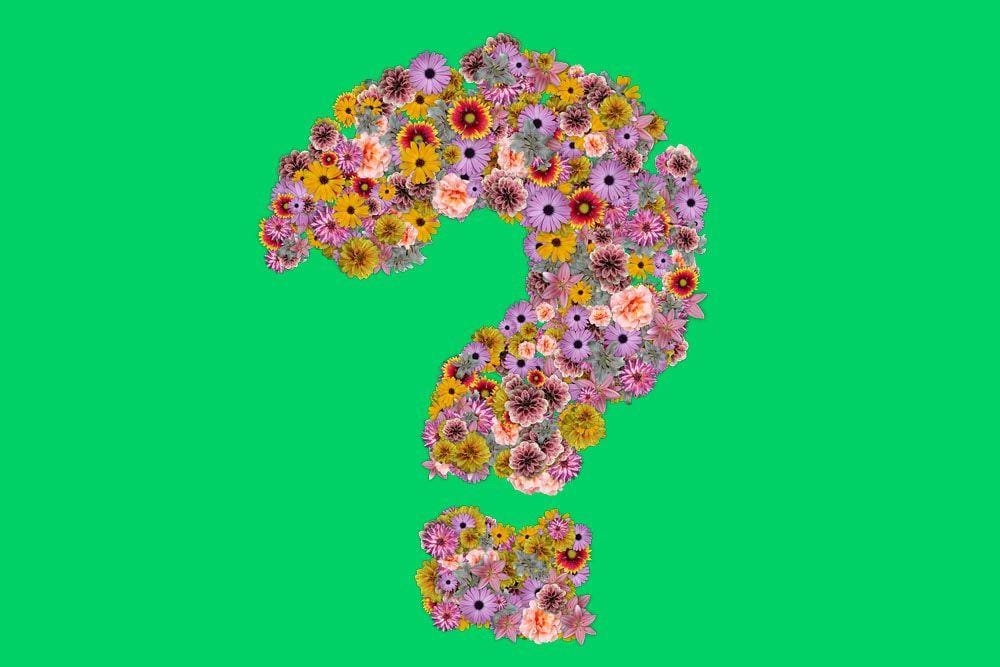 Pixabay.com/Pete Linforth