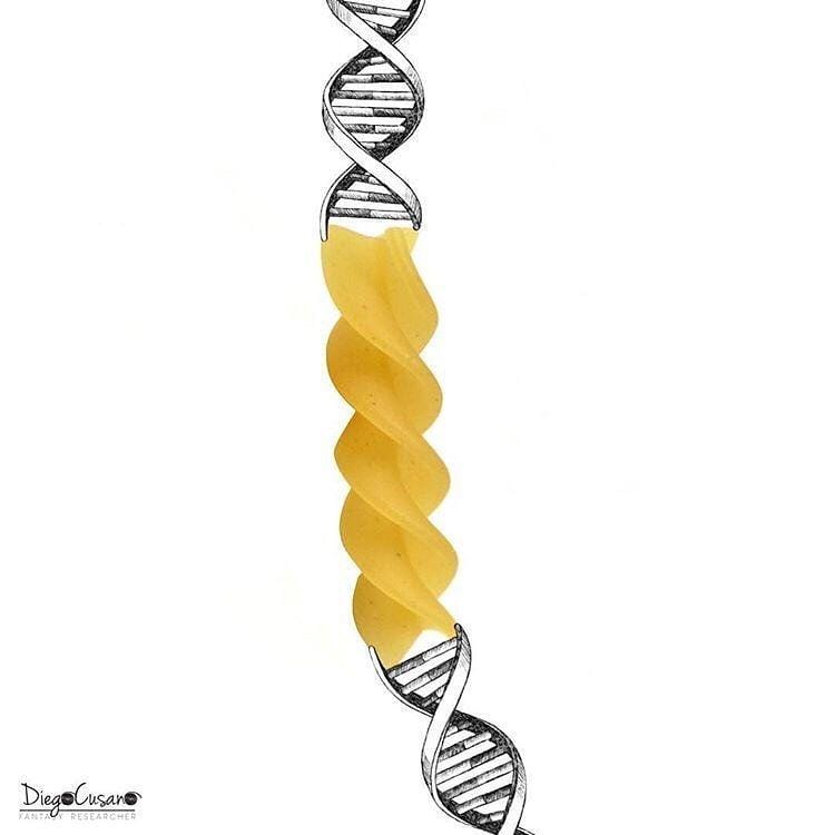 Instagram.com/diego_cusano