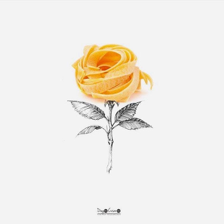 Instagram.com/diego_cusano