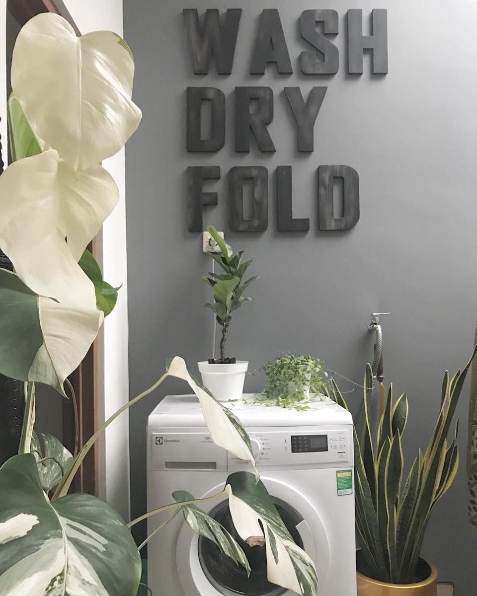 Instagram.com/rindy_