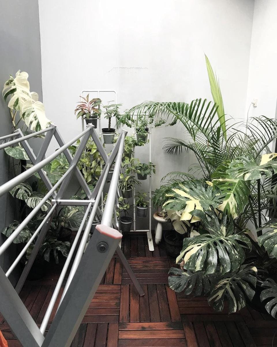 Instagram.com/rindy_