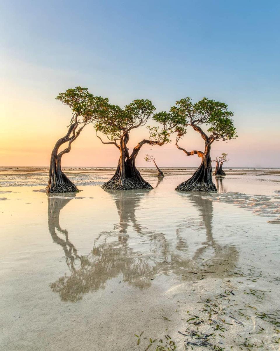 Instagram.com/jerryaurum