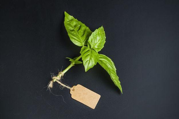 freepik.com/ dashu83