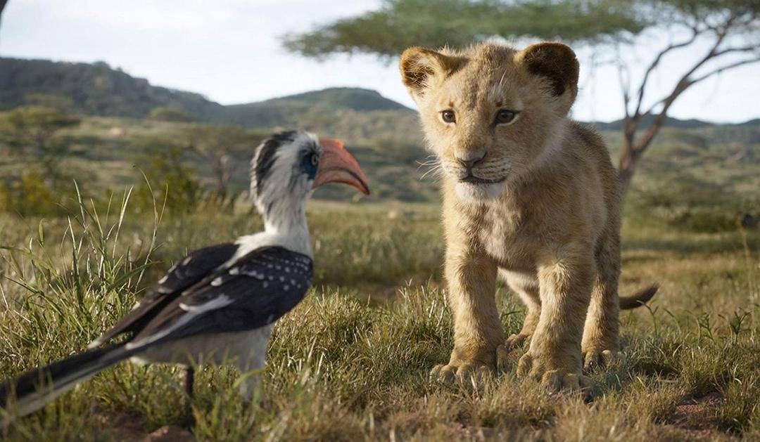 Imdb.com/Lion King