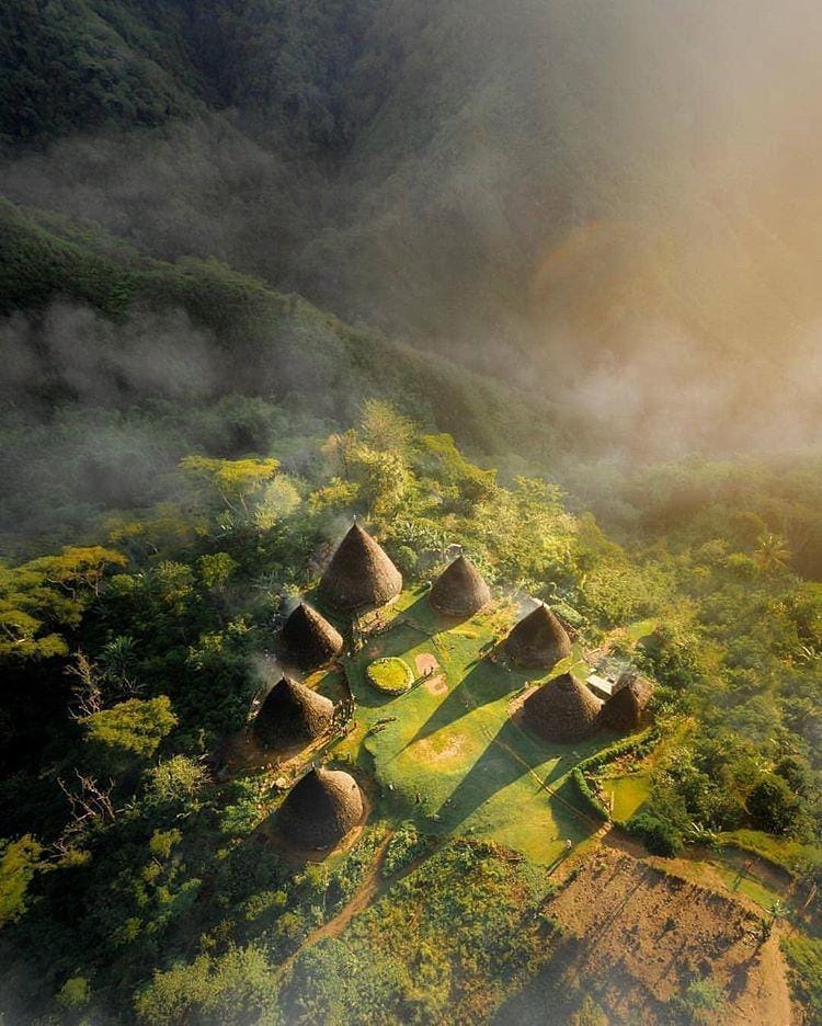 instagram.com/backpackertampan/