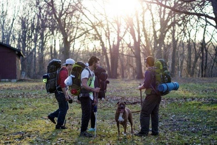 Unsplash.com/Jorge Flores