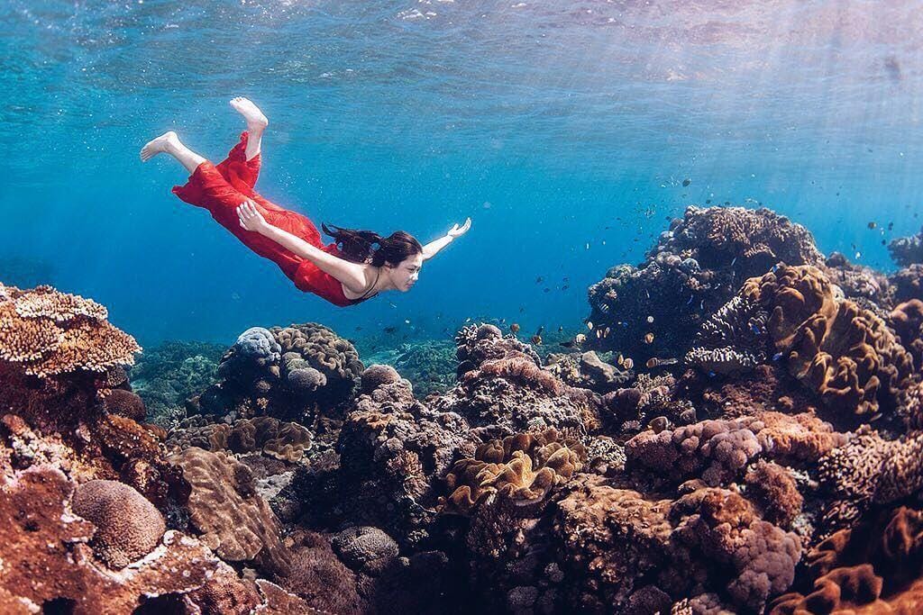 Instagram.com/karbearv