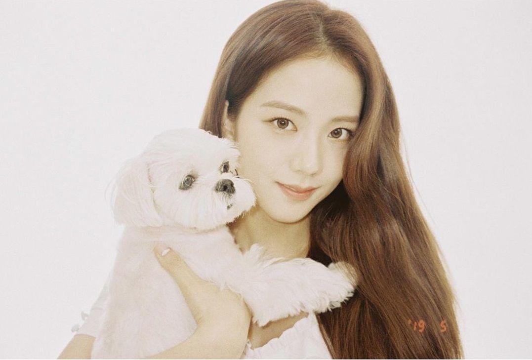 Instagram.com/sooyaaa__