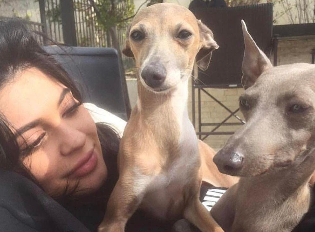 Instagram.com/normieandbambijenner