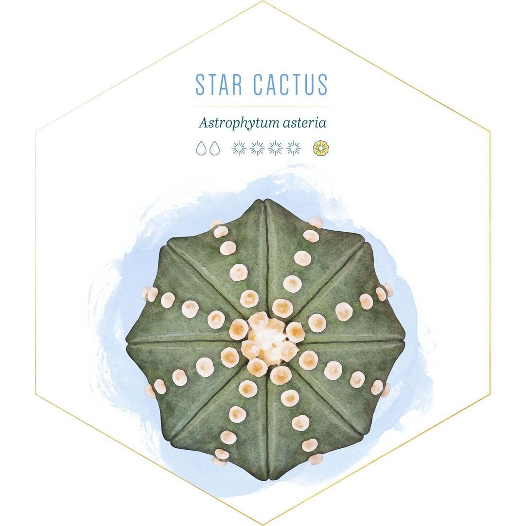 id.pinterest.com/FTDFlowers/