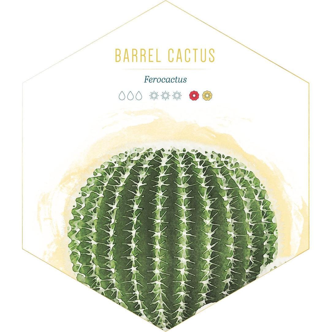 id.pinterest.com/FTDFlowers/