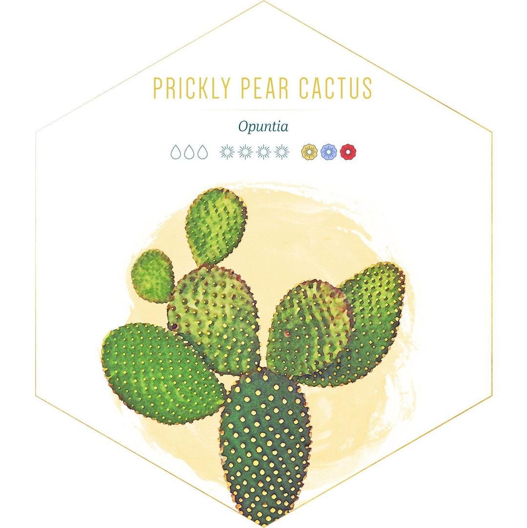 id.pinterest.com/FTDFlowers/