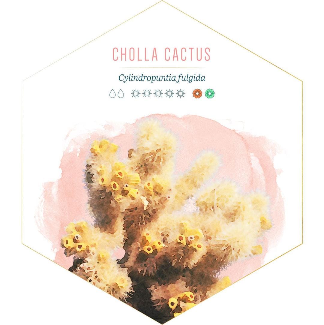 id.pinterest.com/FTDFlowers/