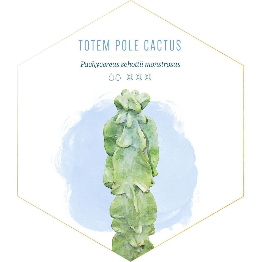 id.pinterest.com/FTDFlowers/