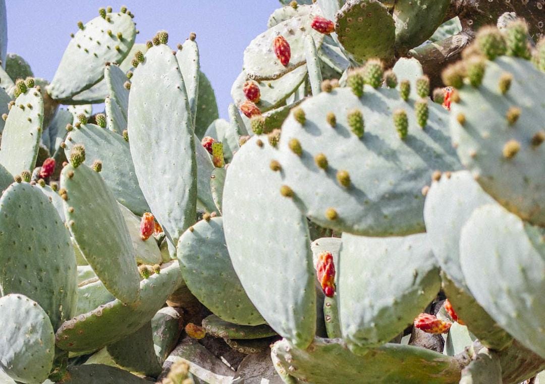 Unsplash.com/Aneta Ivanova