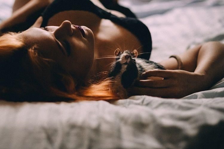 Pixabay.com/Freestocks-Photos