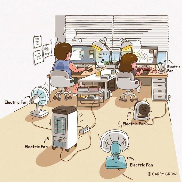 Instagram.com/carry_grow