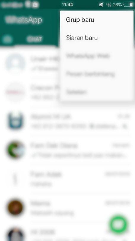 popbela.com/titaflorita