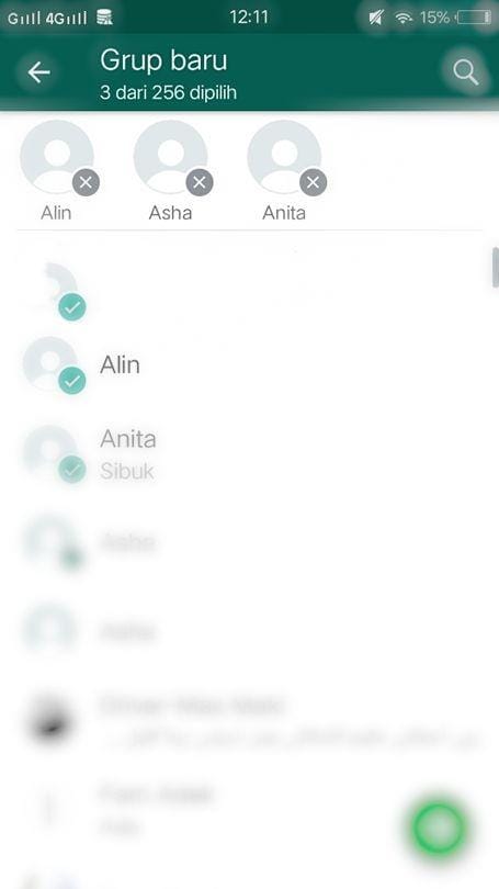 popbela.com/titaflorita