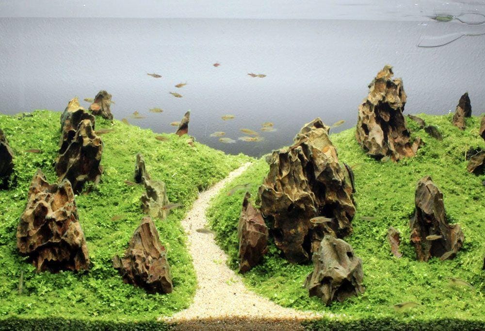 shop.aquaria-usa.com