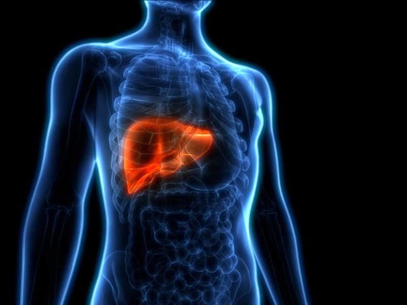 Timesofindia.indiatimes.com