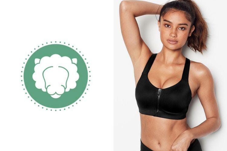 Freepik.com/Victoriassecret.com