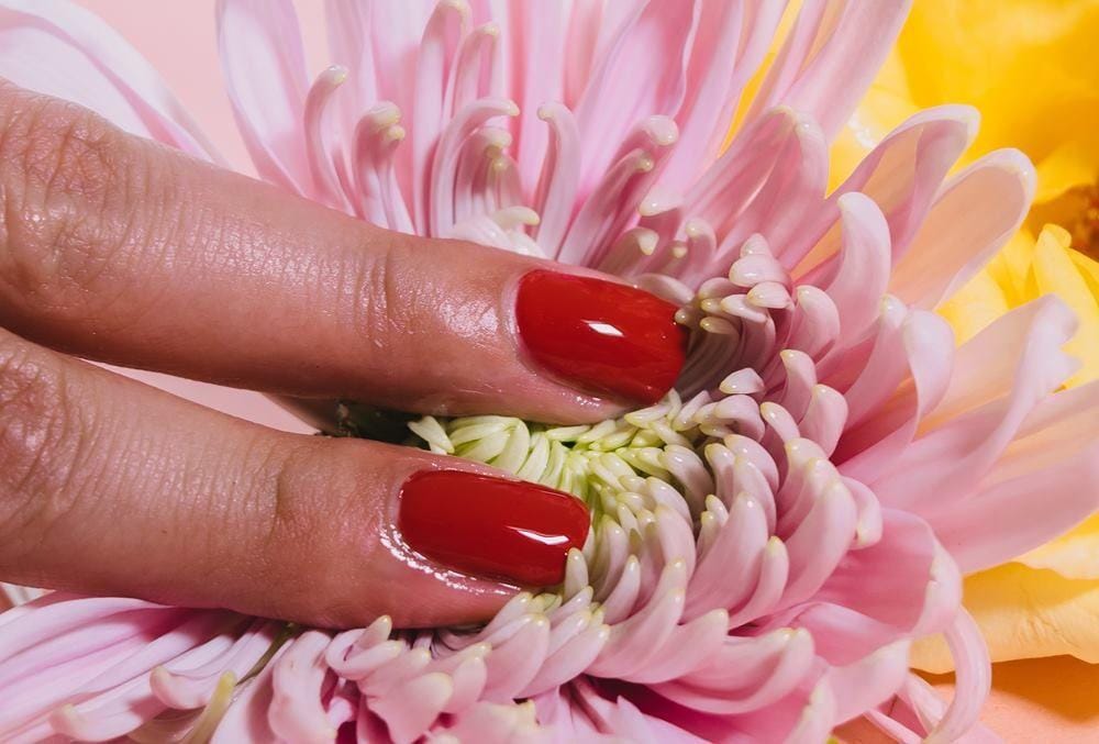 Unsplash.com/Malvestida Magazine