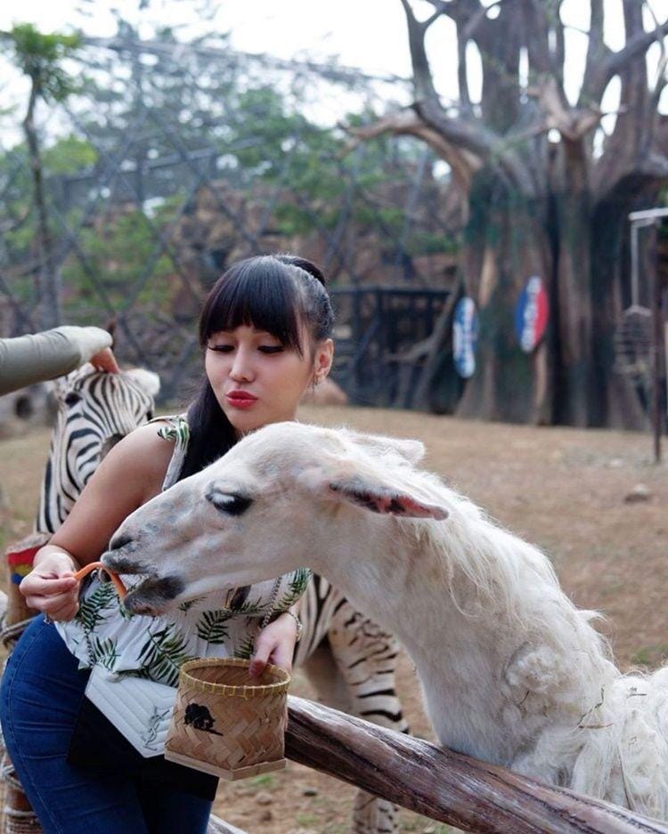 Instagram.com/lucintaluna