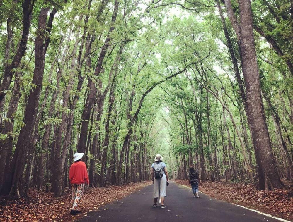 instagram.com/ngemilstamasya