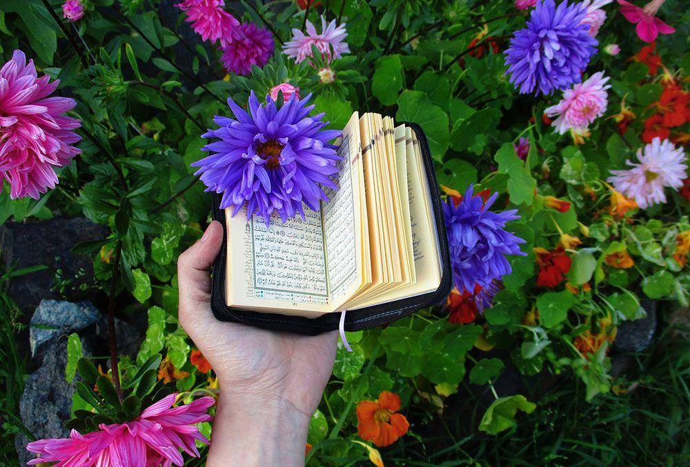 Pixabay.com/Elena Mullagaleeva