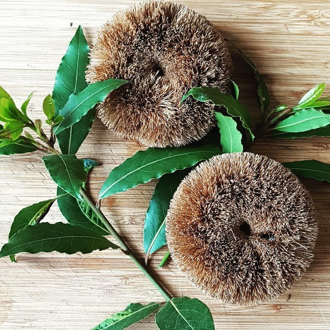 Instagram.com/small_space_home