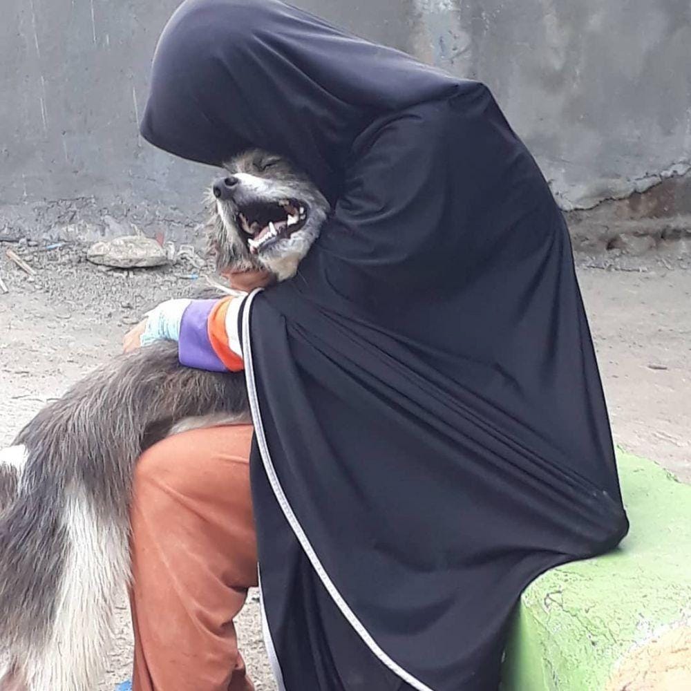 instagram.com/hestisutrisno