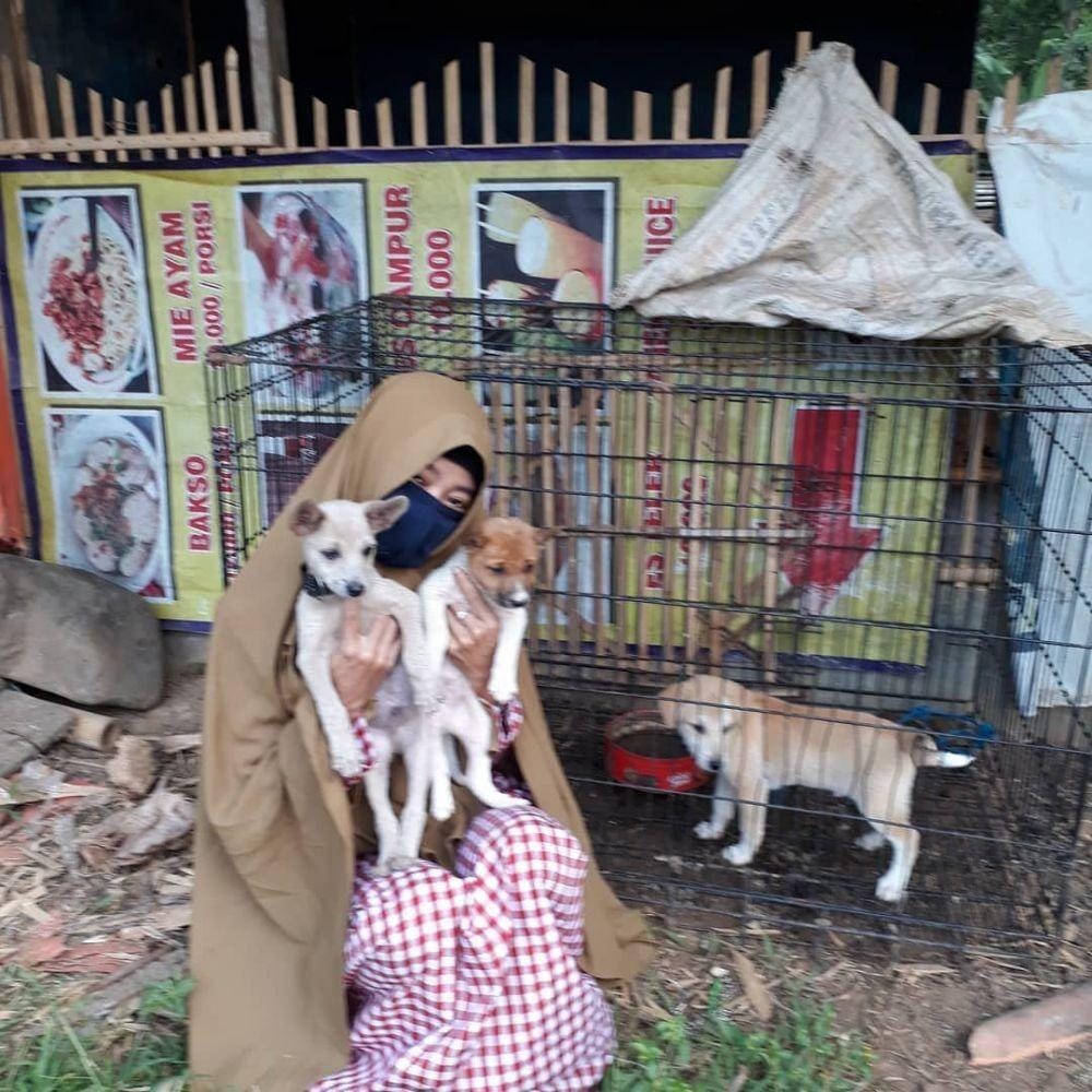 instagram.com/hestisutrisno