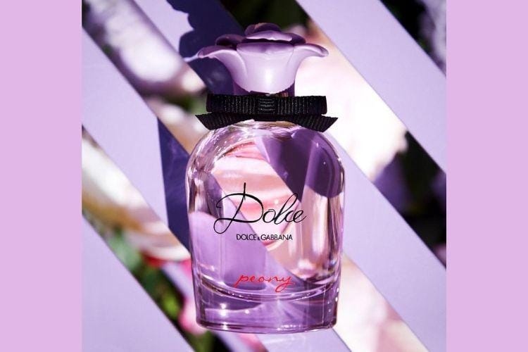 Dok. Dolce&Gabbana