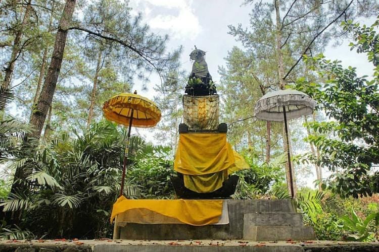 Instagram.com/@iloverowobayu