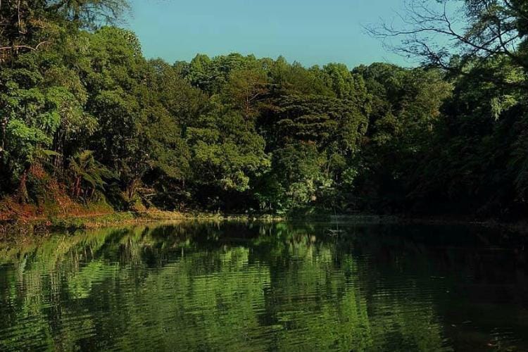 Instagram.com/@iloverowobayu