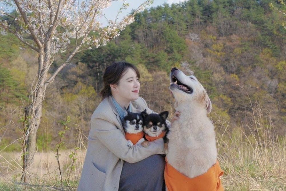 Instagram.com/@kookoo900