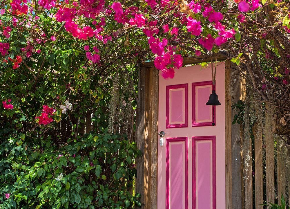 Unsplash.com/David Clode