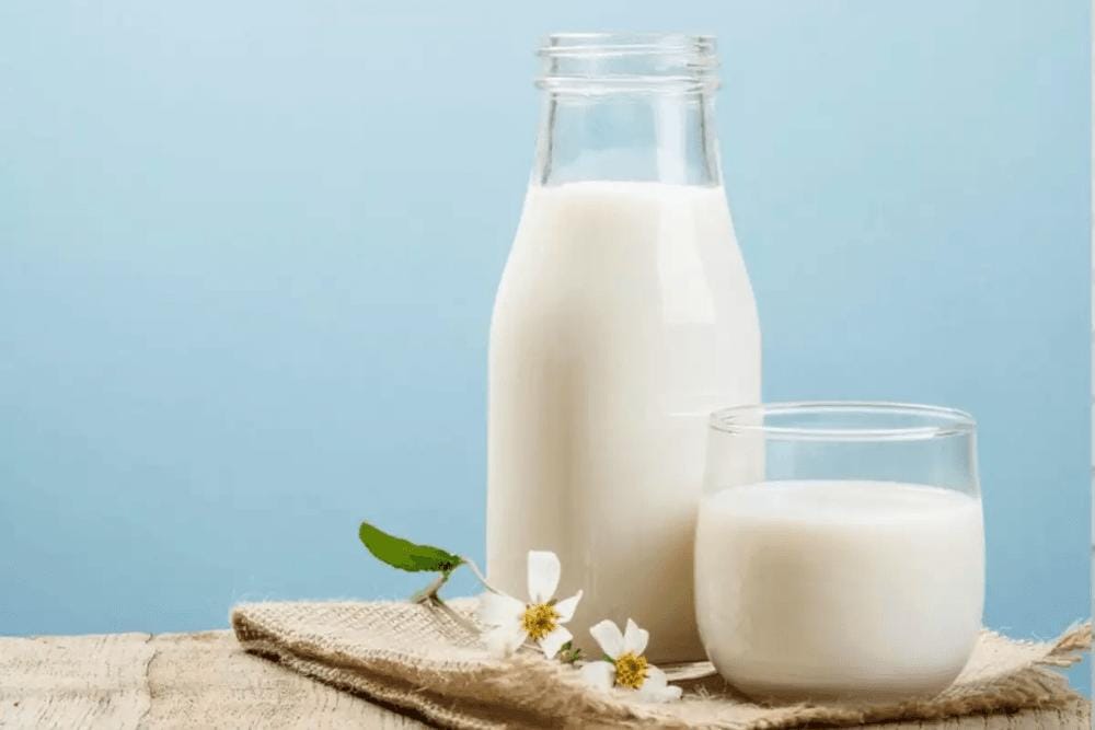 Timesofindia.indiatimes.com