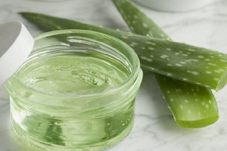 girlsjournalweb.wordpress.com