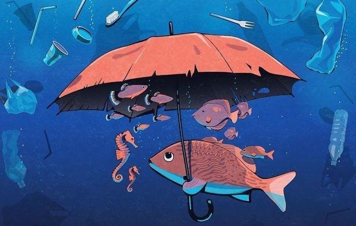 Instagram.com/iconeo