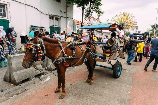 freepik.com/ artitwpd