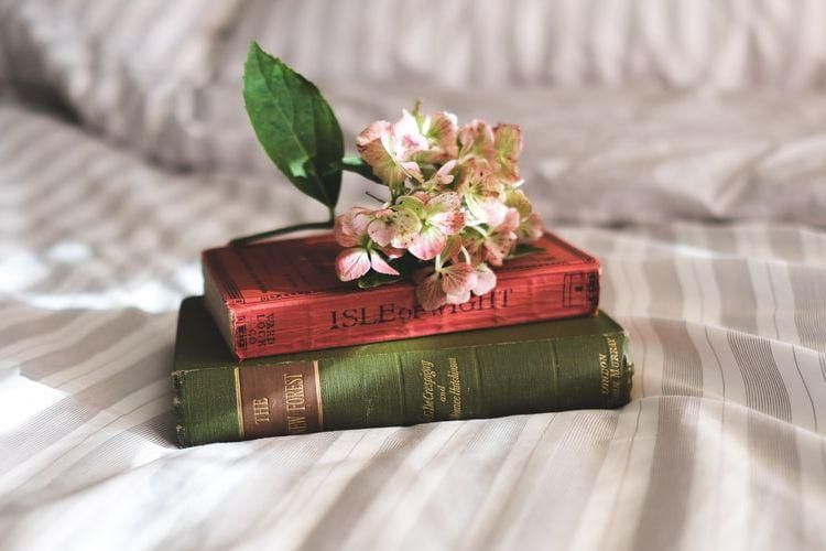 unsplash.com/@anniespratt